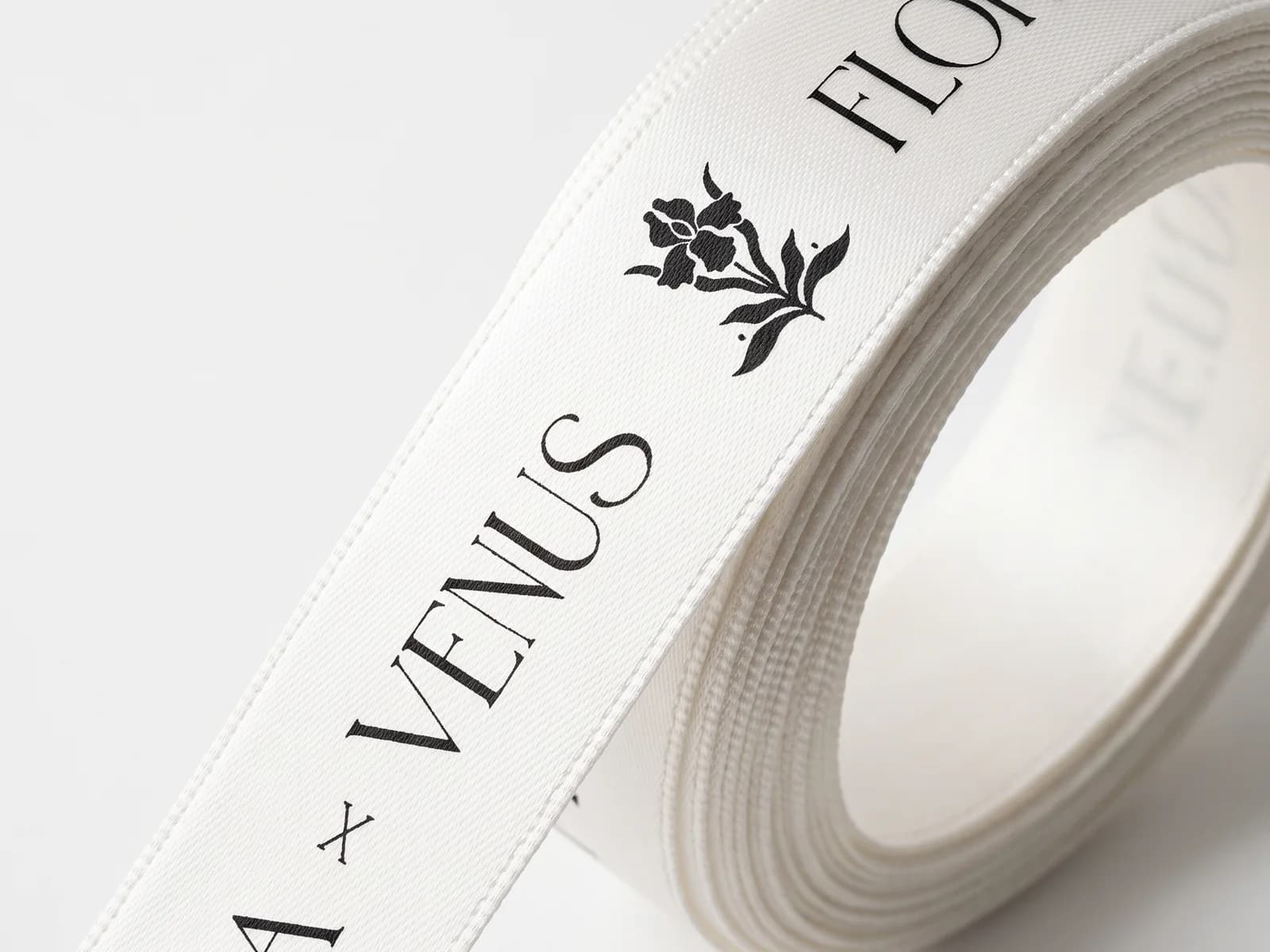 Ribbons, studio view